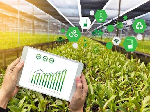 Machine Learning Advances Precision Agriculture