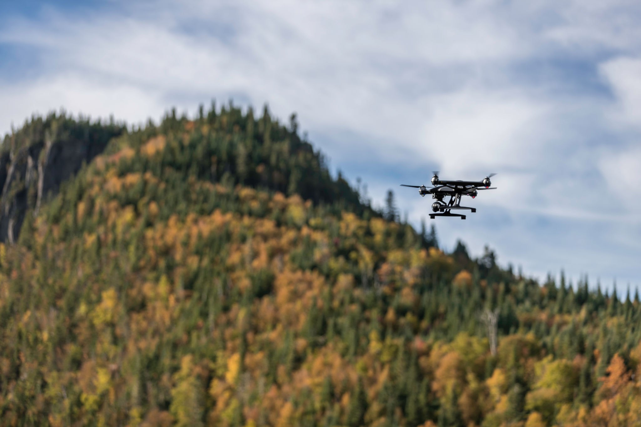 The Digital Canopy — How Tech is Transforming Forestry and Conservation