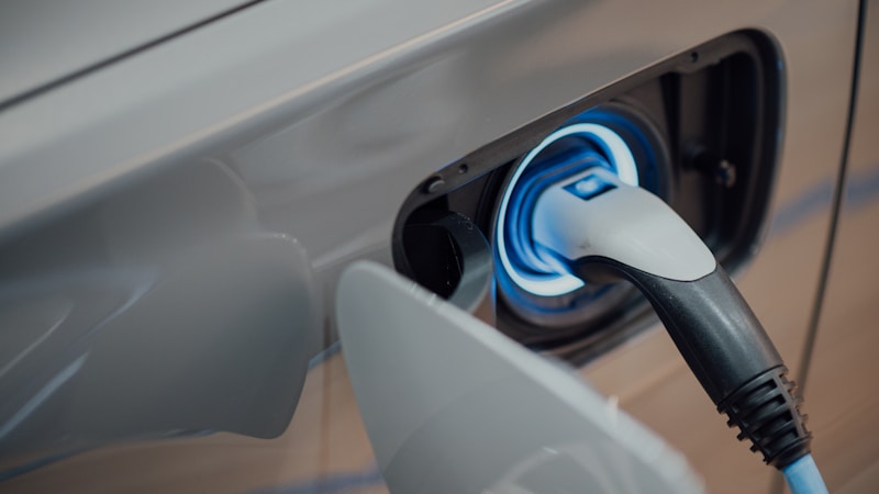 India EV 2025: Tata Nexon EV vs BYD Atto 3 vs Mahindra BE6 vs MG Windsor
