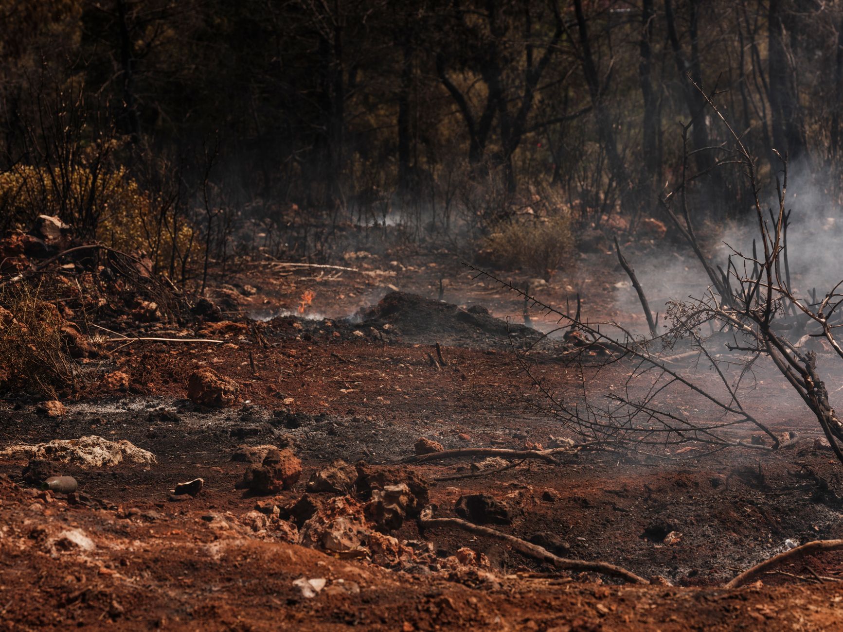 How Artificial Intelligence Is Changing Early Wildfire Detection