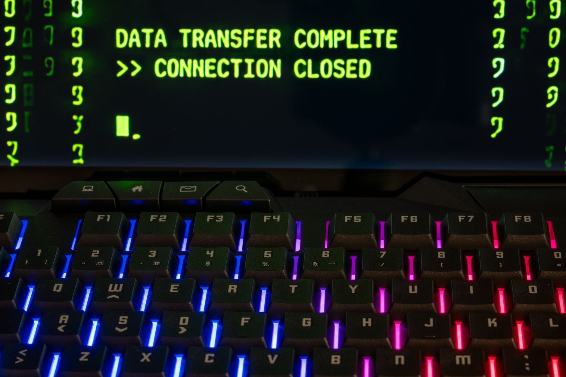 Crypto Hacker Convicted After Siphoning 50 Million and Buying Rare Trading Cards