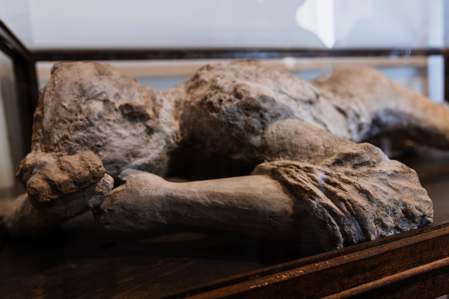 Viking Age Scraps of History Reveal Grisly Domestic Bone Rituals