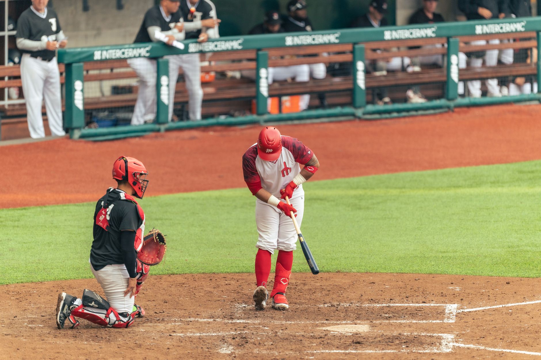 How MLB bat tracking tech maps Patrick Bailey's swing