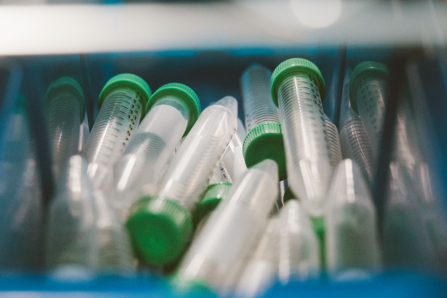 Northwestern and Dow Team Up on Infinitely Recyclable Plastics