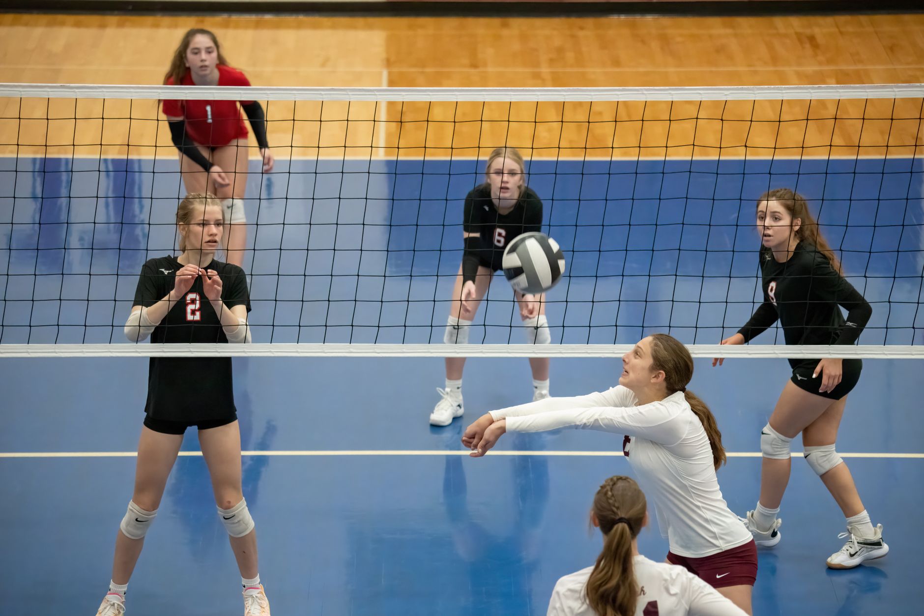 Stevens Institute Volleyball Dominates Randolph and Marymount