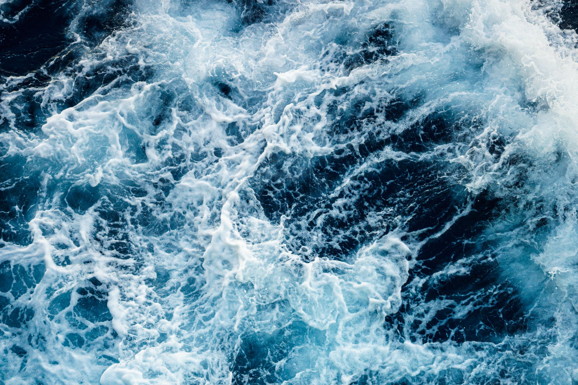 Digital Tides: How Advanced Tech Is Transforming Estuarine Science