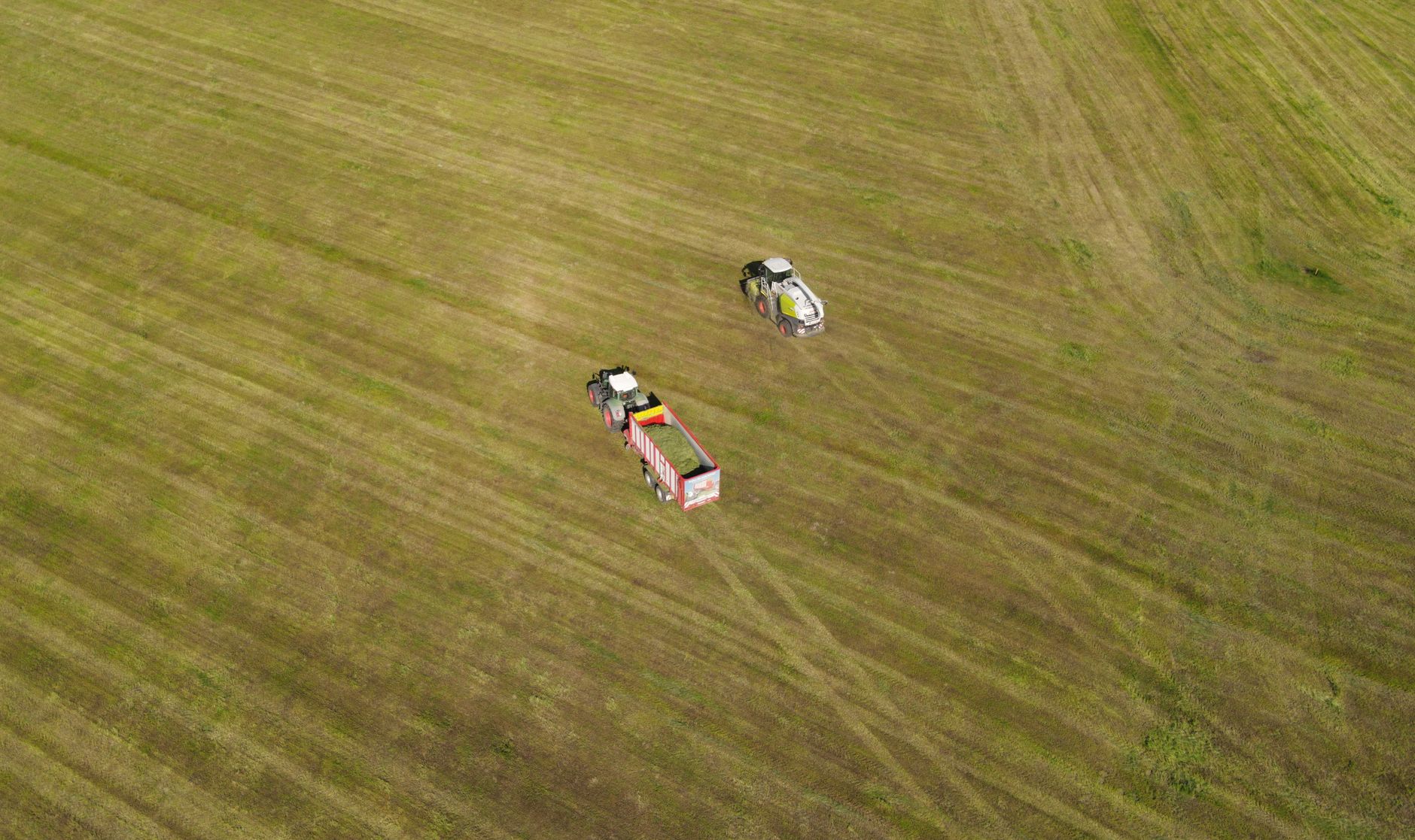 Smart Farming Tech Transforms Kosher Agriculture Across Russia