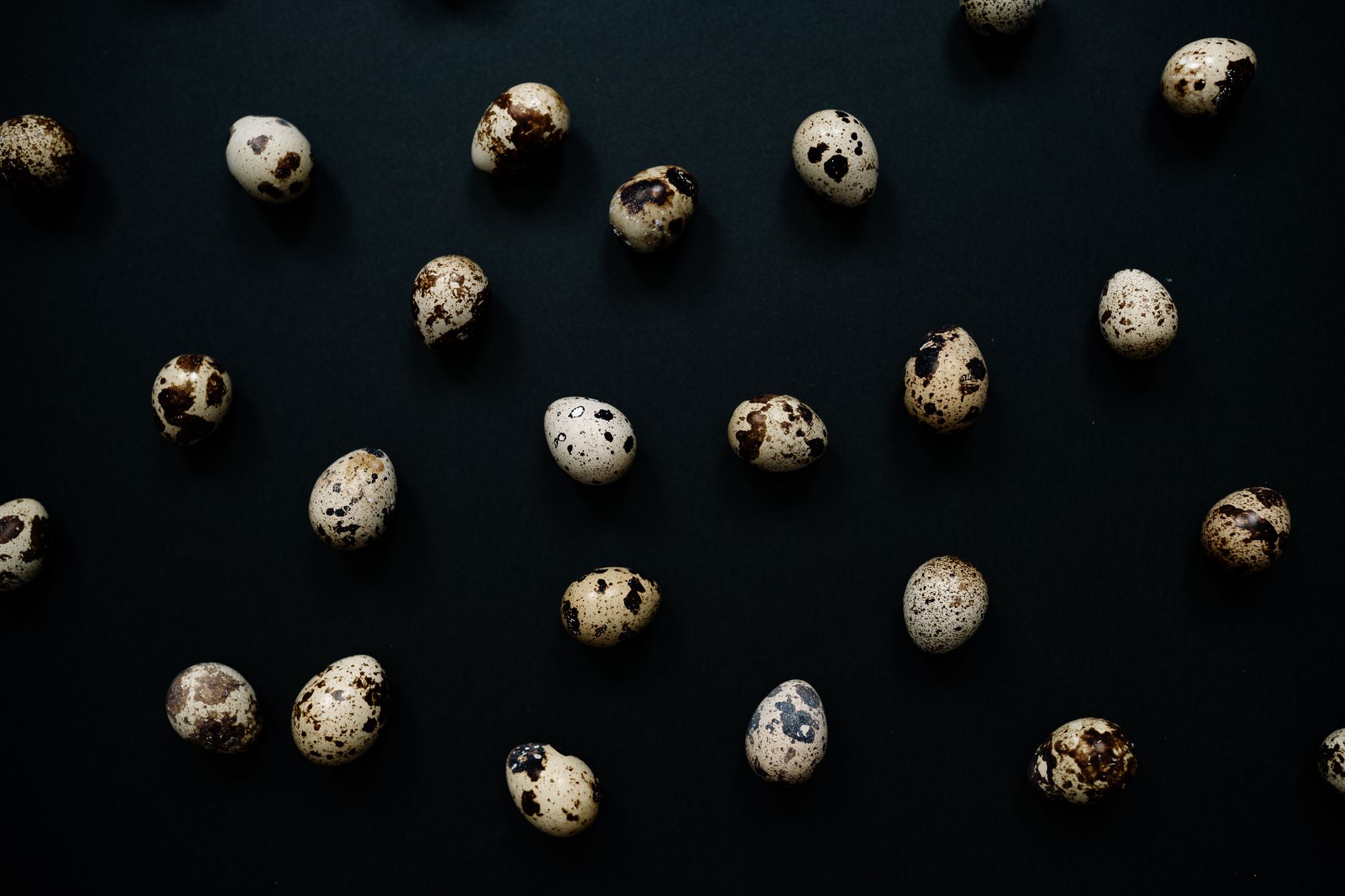 Peter Jackson and Colossal Biosciences Repatriate Rare Moa Egg to New Zealand