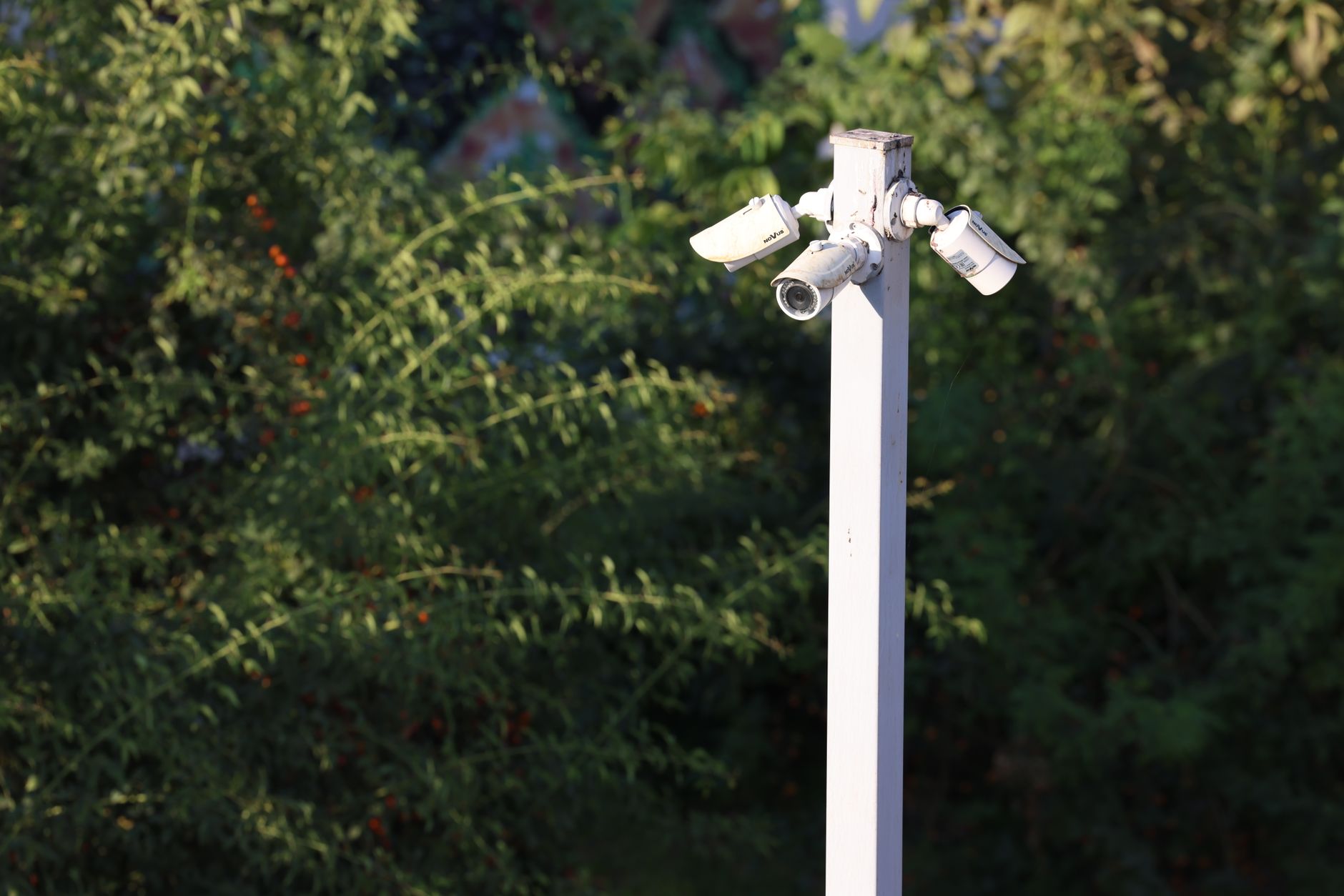 Baseus Launches Outdoor Security Camera with Motion-Tracking Spotlight