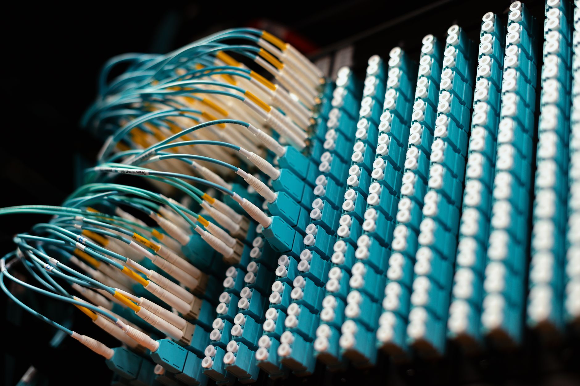 Fixing the Web's Amnesia Before Critical Data Vanishes Forever