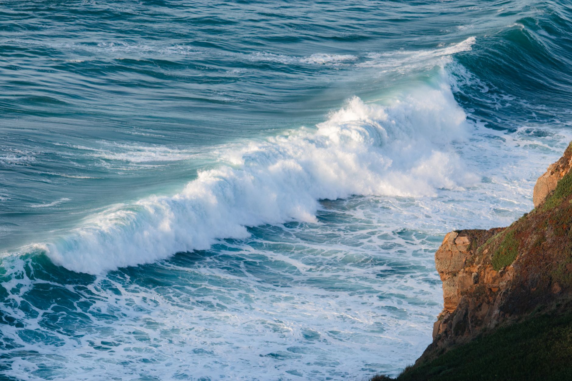 Super El Niño Drives Tropical Marine Species to California Coastline