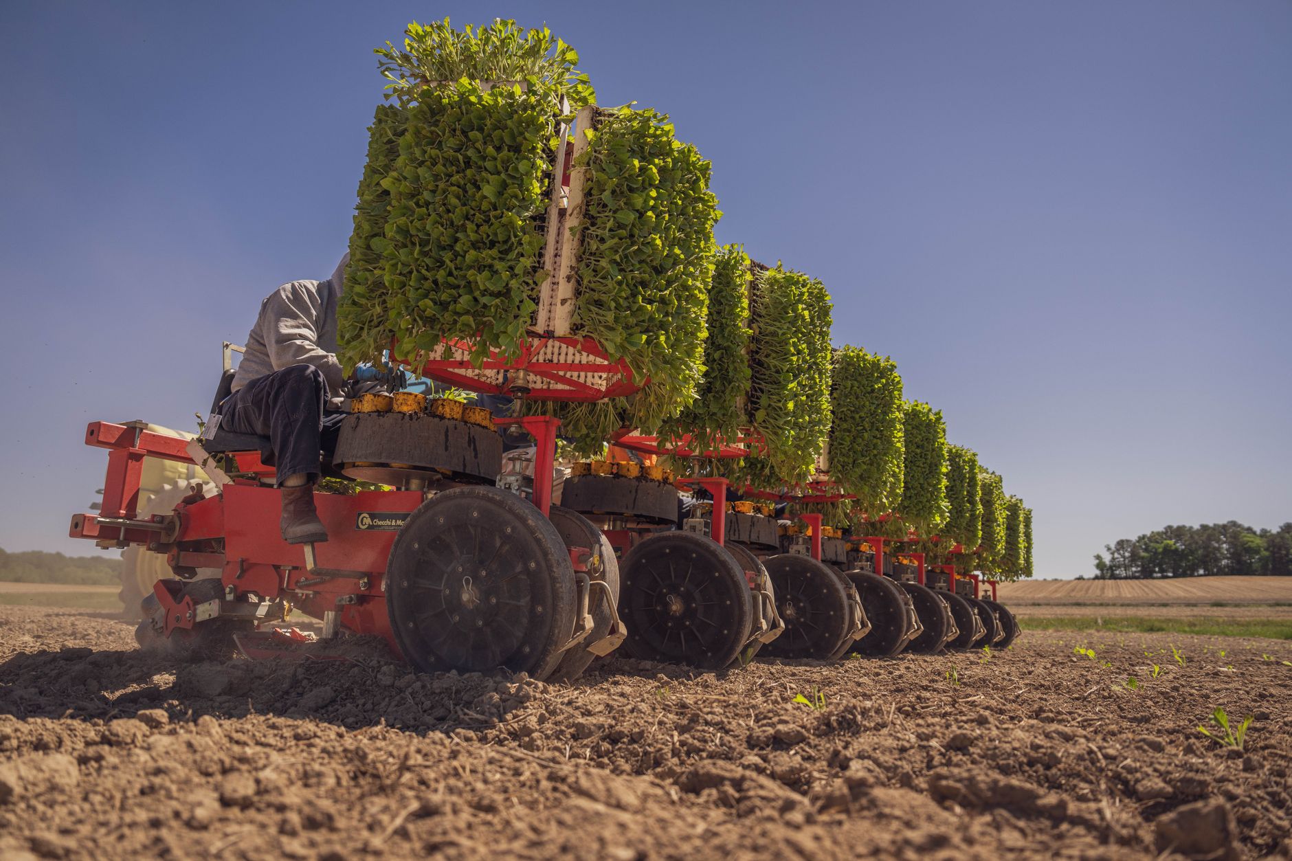 Autonomous weeding robots are targeting agricultural labor shortages