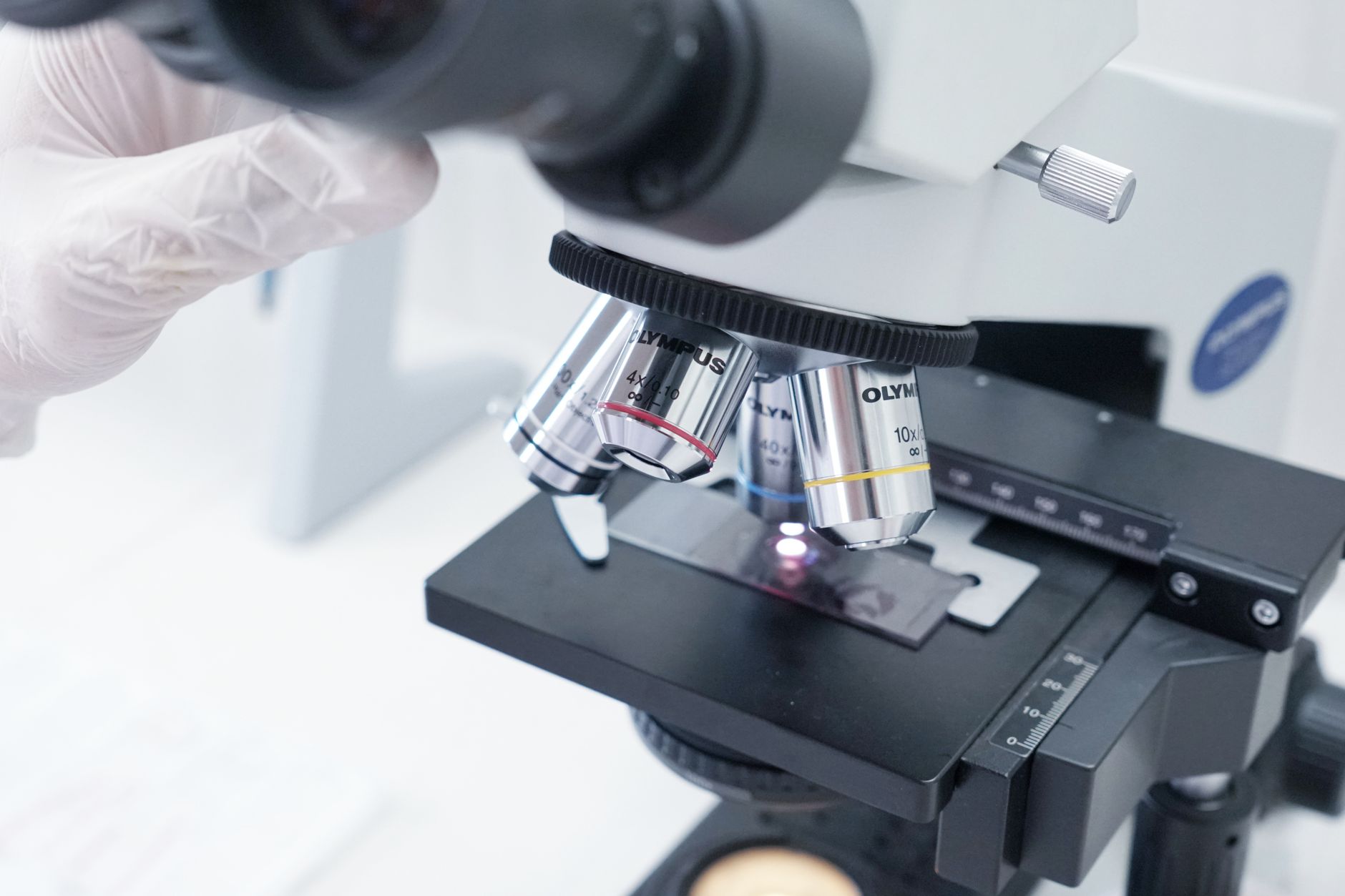 Advanced DNA Phenotyping Revives 13-Year-Old Pulaski County Cold Case